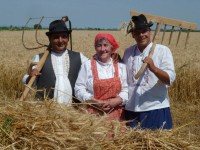 /album/fenykepgaleria/a10426784-243113099221007-930511499425710307-n-jpg/