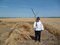 /album/fenykepgaleria/a10458130-243113609220956-8172392645572059055-n-jpg/