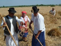 /album/fenykepgaleria/a10460728-243112635887720-933342361223257455-n-jpg/