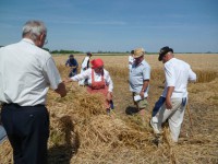 /album/fenykepgaleria/a10476500-243112825887701-9028344204104371110-n-jpg/