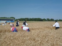 /album/fenykepgaleria/a10482871-243111652554485-6960967032310842455-n-jpg/