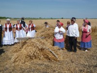 /album/fenykepgaleria/a10482915-243113482554302-5406259767960739095-n-jpg/