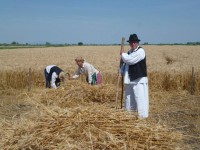 /album/fenykepgaleria/a10488119-243113675887616-1209374805553360550-n-jpg/