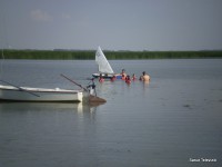 /album/fenykepgaleria/p7070307-jpg/