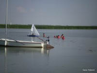/album/fenykepgaleria/p7070312-jpg/