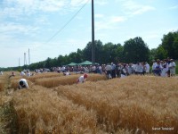 /album/fenykepgaleria/a11040861-363942723804710-8213375800091220586-o-jpg/