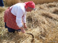 /album/fenykepgaleria/a11216218-363942747138041-4622670996376355720-o-jpg/