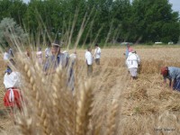 /album/fenykepgaleria/a11230598-363943017138014-8259084671039813400-o-jpg/