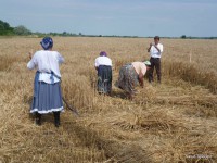 /album/fenykepgaleria/a11263007-363942833804699-6039446758055447044-o-jpg/