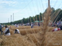 /album/fenykepgaleria/a11267224-363942693804713-3562060751501282476-o-jpg/