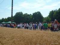 /album/fenykepgaleria/a11416327-363942500471399-4864914200714268639-o-jpg/