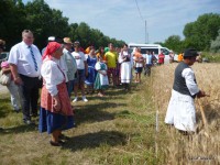 /album/fenykepgaleria/a11427362-363942553804727-8233239597740832746-o-jpg/