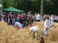 /album/fenykepgaleria/a11430162-363942673804715-1433827756045872982-o-jpg/